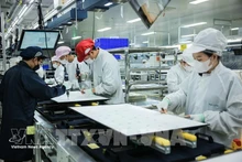 Производственная деятельность компании с ограниченной ответственностью Regza Vietnam Electronics, расположенной на территории провинции Донгнай. (Фото: ВИА)