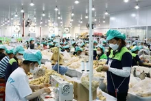 Рабочие на производстве в промышленной зоне Зулонг, провинция Кханьхоа.