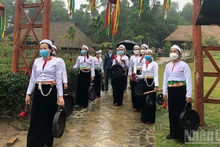 Неделя «Великого единства народностей – культурного наследия Вьетнама» в 2025 году