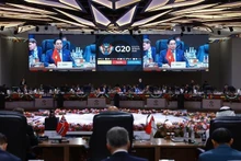 Премьер-министр Фам Минь Тьинь предложил три стратегических приоритета на саммите G20. (Фото: ВИА)