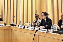 Посол До Хунг Вьет председательствует на консультационном семинаре. (Фото: ВИА)