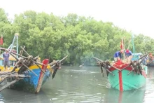 Провинция Донгтхап завершила регистрацию своего флота из 1505 рыболовных судов. (Фото: ВИA)