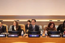 Посол До Хунг Вьет и представители стран-содокладчиков на мероприятии. (Фото: ВИА)