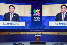 Президент Лыонг Кыонг выступает на саммите АТЭС. (Фото: Суан Ки)