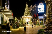 Рождественские елки Ханоя освещают праздничный сезон
