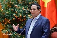 Премьер-министр Фам Минь Тьинь выступил на заседании. (Фото: ВИА)