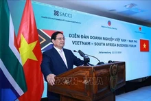 Премьер-министр Фам Минь Тьинь выступает на Вьетнамско–южноафриканском бизнес-форуме. (Фото: ВИА)