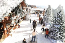 Романтичный Далат окрашивается в яркие рождественские краски в последние дни года. (Фото: baodautu.vn)