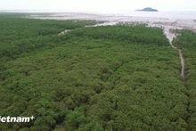 Иллюстративное изображение. (Фото: ВИА)