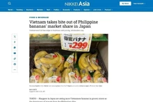 По оценке Nikkei Asia, вьетнамские бананы имеют преимущество на японском рынке. Скриншот: ВИА