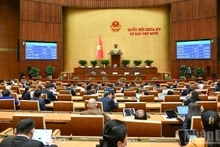 Заседание Национального собрания в зале. (Фото: Зюи Линь)