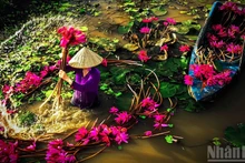 Необъятные просторы западных провинций Южного Вьетнама в сезон паводковых вод