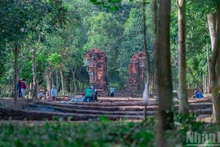 «Священная дорога», недавно обнаруженная в храмовом комплексе Мишон