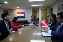 Посол Нго Минь Нгует и Генеральный директор Департамента многосторонней политики Министерства иностранных дел Парагвая Нимия Да Силва Бошерт обсуждают меры по дальнейшему развитию двустороннего сотрудничества. (Фото: ВИА)