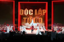 Художественный номер в рамках программы.