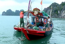 Пограничный пост портового пограничного пункта Хонгай во взаимодействии с соответствующими силами провел проверку и пресечение незаконного промысла водных биоресурсов в заливе Халонг. (Источник: Газета Куангнинь)