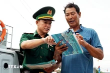 Провинция Куангнгай решительно реализует меры по борьбе с ННН-промыслом