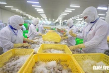 Фото: tuoitre.vn