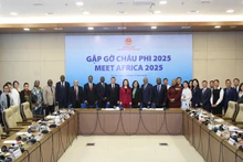 Делегаты, участвующие в конференции. (Фото: МИД Вьетнама)