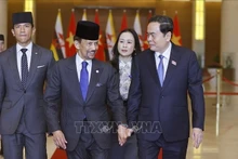 Председатель НС Чан Тхань Ман встречается с Султаном Брунея-Даруссалама Хаджи Хассаналом Болкиахом. (Фото: ВИА)