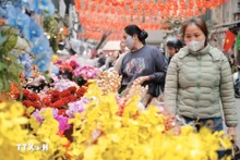 Цветочный рынок Ханглыок оживлён в преддверии Тэт Бинь Нго 2026 года