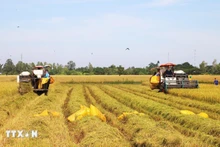 Прорывные меры политики и оперативность их реализации вселяют в людей большие ожидания относительно нового качества жизни. (Фото: ВИА)