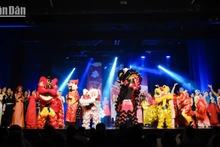 Радостная атмосфера встречи Лунного Нового года вьетнамцев, проживающих во Франции