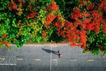 В преддверии праздников по случаю Дня воссоединения страны 30 апреля и Первомая вьетнамские туристы все чаще выбирают зарубежные поездки на близкие расстояния и нестандартные форматы отдыха. (Иллюстративное фото: ВИА)