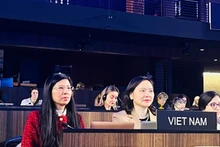 Посол Нгуен Тхи Ван Ань выступает на сессии.