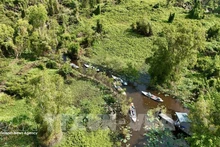 В 2026 году будет завершено формирование базы данных о лесах в целях адаптации к Регламенту ЕС о регулировании импорта и экспорта продукции, не связанной с обезлесением и деградацией лесов. (Фото: ВИА)