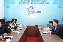 Общий вид рабочей встречи. (Фото: TITC)