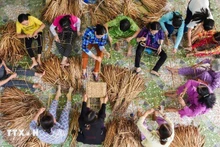 Многие модели стартапов сельских женщин способствуют повышению стоимости местной продукции и создают рабочие места для местных жителей. (Фото: ВИА)