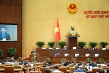 Депутаты НС работают в зале заседаний. (Фото: НС Вьетнама)
