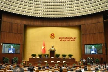 Заседание НС в первой половине дня 8 декабря. (Фото: Зюи Линь)