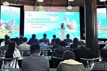 Общий вид форума.