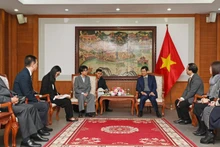 Общий вид рабочей встречи. (Фото: TITC)