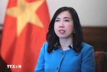 Заместитель министра иностранных дел Ле Тхи Тху Ханг. (Фото: ВИА)