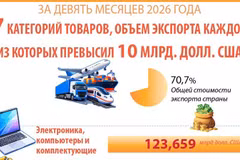 [Инфографика] Категории товаров, объем экспорта каждой из которых превысил 10 млрд долл. США за первые 9 месяцев