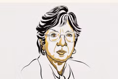 Наванетхем «Нави» Пиллэй. (Источник: Nobelprize.org)