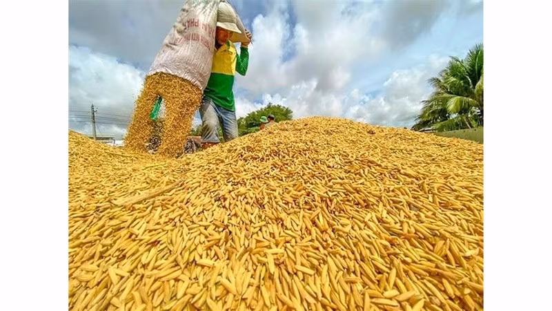 nong-nghiep-sinh-thai.jpg