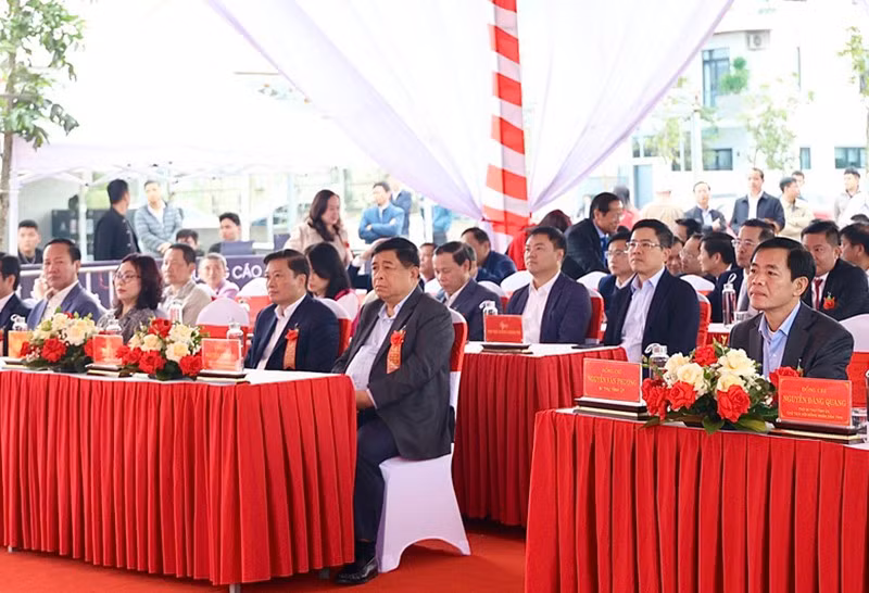 ncdung-17661072181711260531265.jpg
