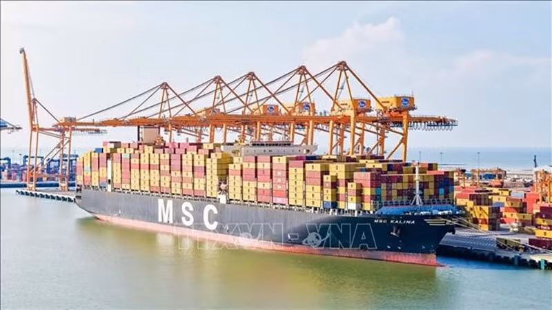 Судно MSC KALINA является крупнейшим контейнеровозом, когда-либо заходившим в район портовых причалов Лачхуен города Хайфон. Фото: ВИА