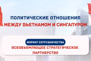 [Инфографика] Политические отношения между Вьетнамом и Сингапуром