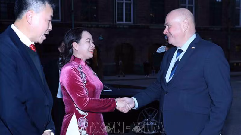 Вице-президент Во Тхи Ань Суан на встрече с Председателем Фолькетинга Дании Сереном Гаде.