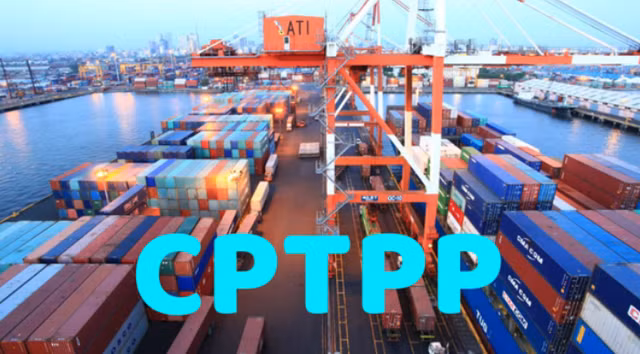 Экспорт морепродуктов в страны-члены ВПТТП в последние годы постоянно растет. Фото: VGP