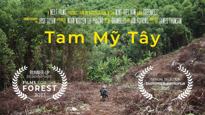 Фильм «Таммитэй» получил награду на Международном кинофестивале о лесах.