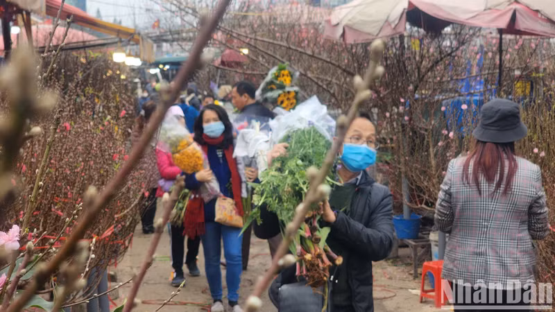 Уголок цветочного рынка Куангба во второй половине дня 29 числа Тэта. Уголок цветочного рынка Куангба во второй половине дня 29 числа Тэта.
