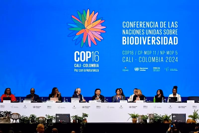 Участники COP16 в Кали (Колумбия). Фото: Синьхуа/ВИА