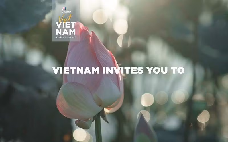 Кадр из клипа «Why not Vietnam?», который был транслирован CNN с 15 октября 2020 г.