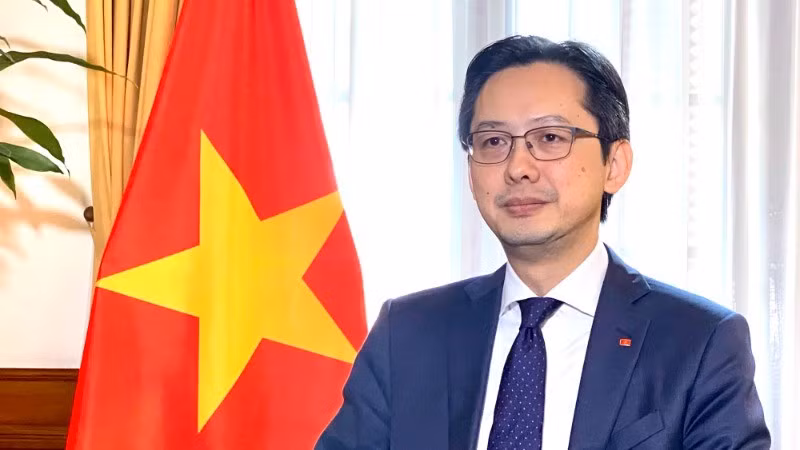 Заместитель министра иностранных дел Вьетнама До Хунг Вьет. Фото: Chinhphu.vn